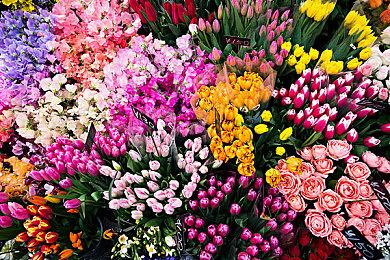 漫威游戏与Skydance宣布合作开发剧情驱动冒险大作