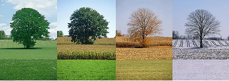 GDC 2023：英伟达将在《赛博朋克2077》展示下一代光追